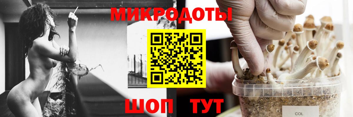Прохладный  купить  цена  Псилоцибиновые грибы Cubensis  Вход с VPN  Псилоцибиновые грибы GOLDEN TEACHER 